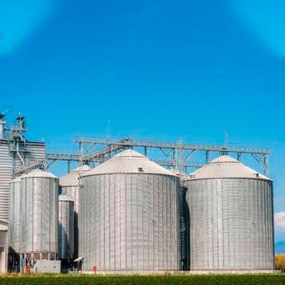 Revestimento Refletivo para Silos Várzea Grande - Revestimento Refletivo para Silos